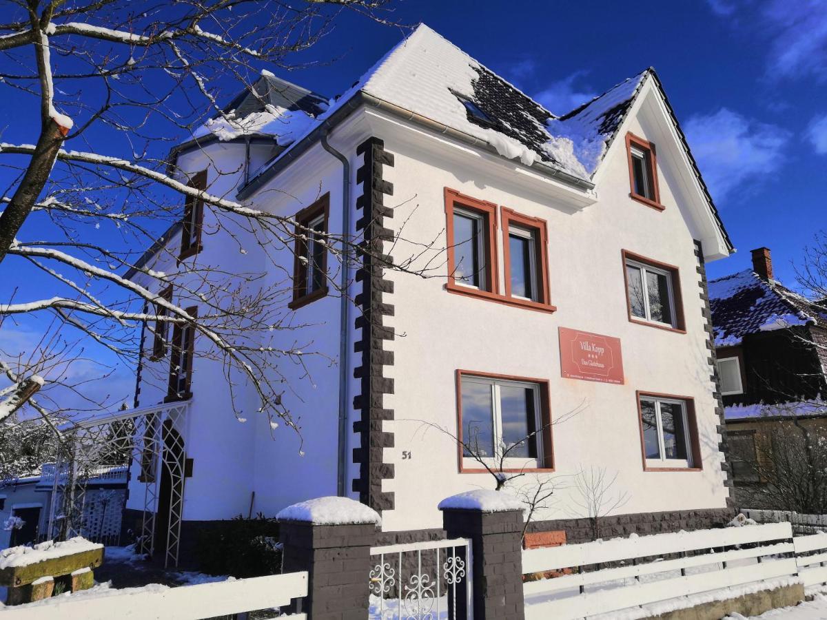 Villa Kopp-Das Gaestehaus Hopfingen المظهر الخارجي الصورة